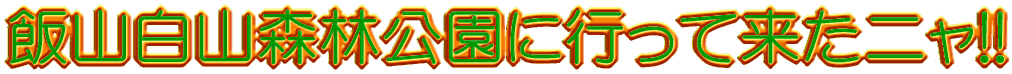 飯山白山森林公園に行って来たニャ!!